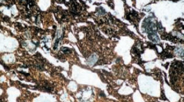 CATEGORIA_ARQUEOMETRIA1