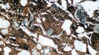 CATEGORIA_ARQUEOMETRIA1