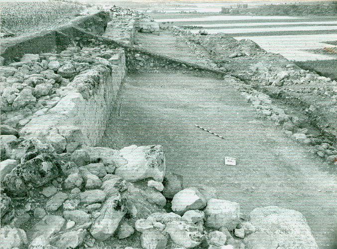 Excavación de la muralla en 1981